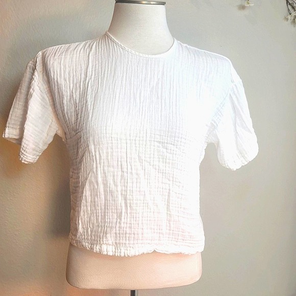 REVOLVE x DAVID LERNER SIMONE OVERLAP CROP TEE CROPPED CREWNECK PACK KEYHO… - Picture 5 of 10